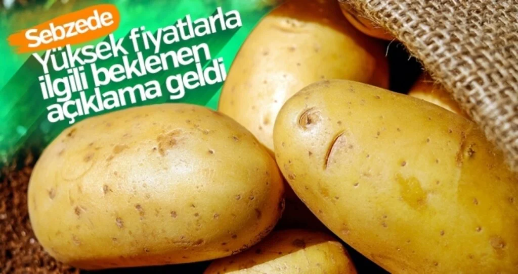Sebzede Yüksek Fiyatlarla İlgili Beklenen Açıklama Geldi
