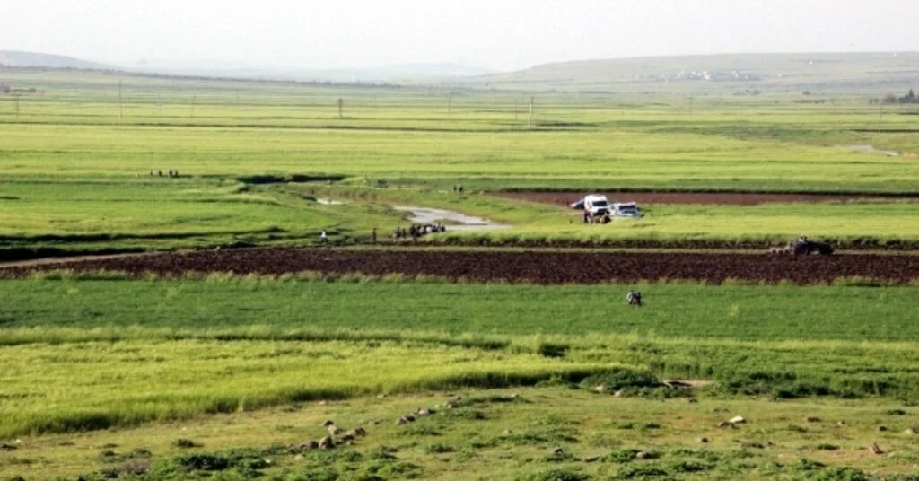 Serinlemek İçin Girdiği Derede Boğuldu