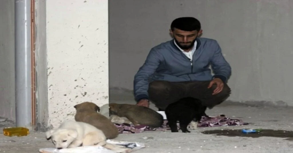 Siirtte 7 Yavru Köpeği Ölüme Terk Ettiler