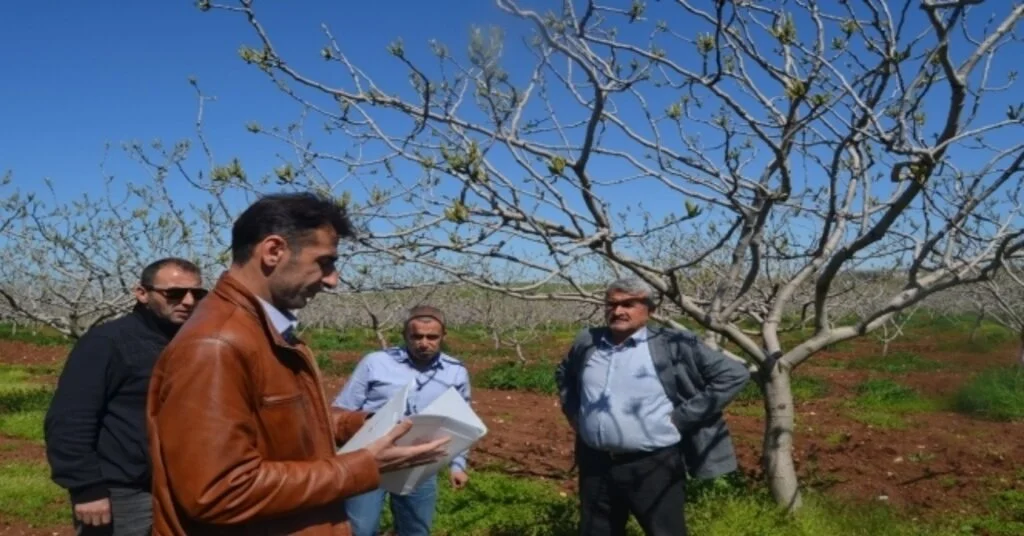 Siirtte Fıstıkçılıkta Verimliliği Artırmak İçin Üreticilere Feromen Tuzak Dağıtıldı