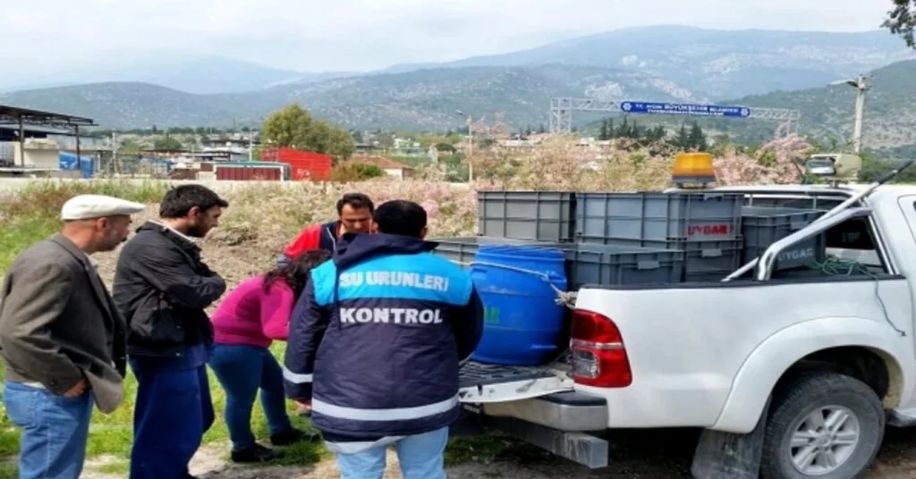 Sökede 12 Bin Deniz Patlıcanı Ele Geçirildi