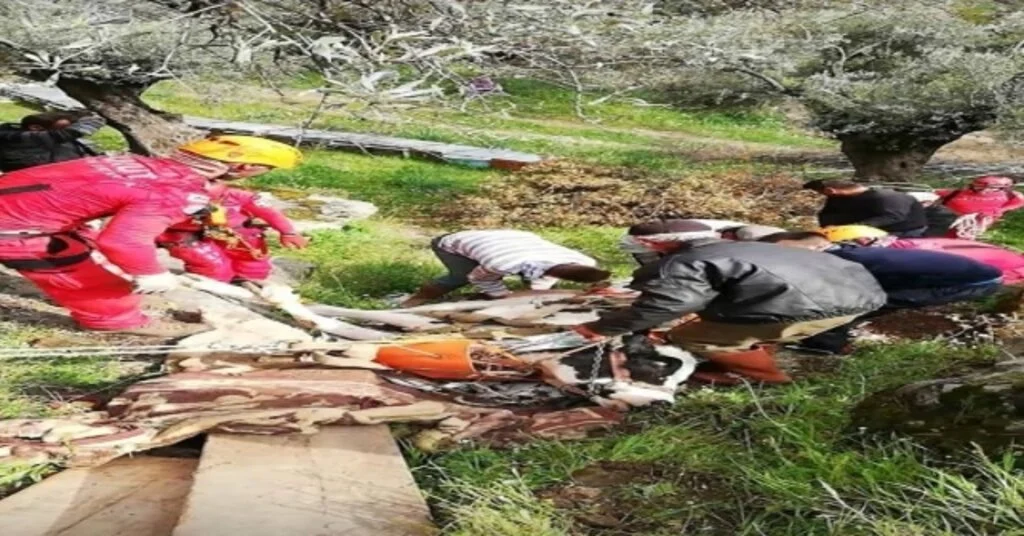 Sökede İnek Kurtarma Operasyonu