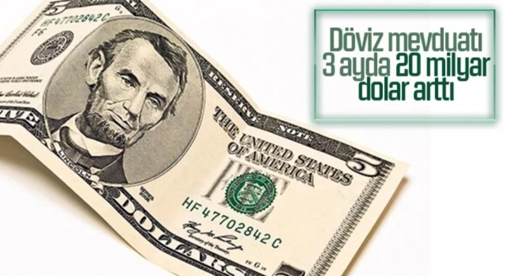 Ticaret Bakan Yardımcısı Turagay: Döviz Mevduatı 3 Ayda 20 Milyar Dolar Arttı