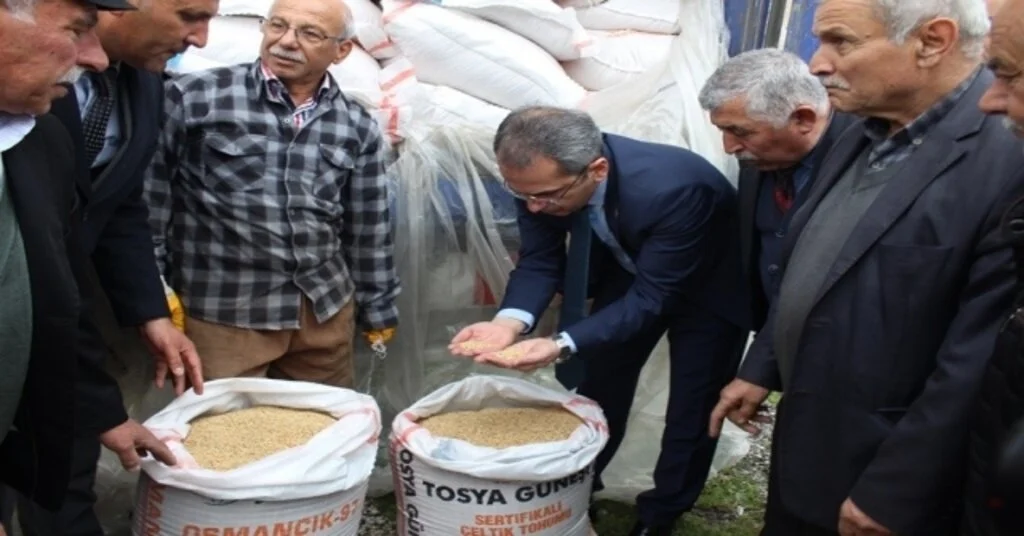 Tosyada Çiftçilere 24 Ton Çeltik Tohumu Dağıtıldı