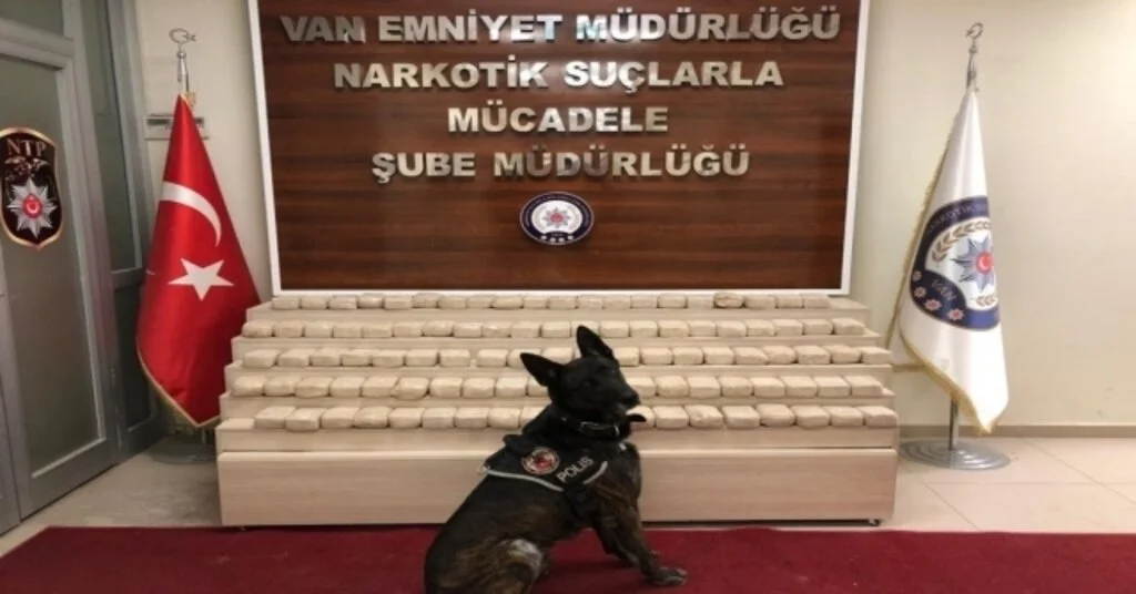 Vanda Bir Minibüste 50 Kilo 930 Gram Eroin Ele Geçirildi