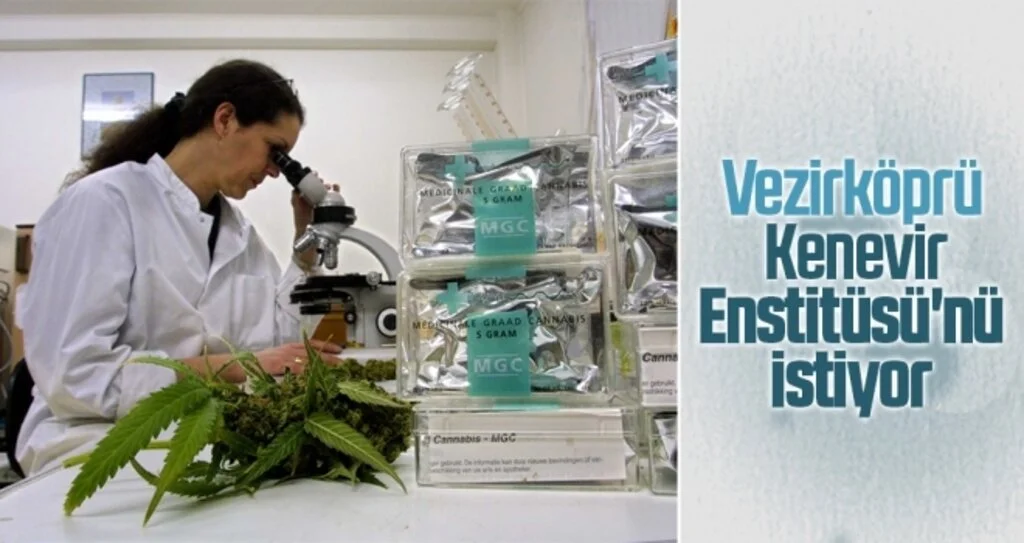 Vezirköprü Kenevir Enstitüsü'nü istiyor 