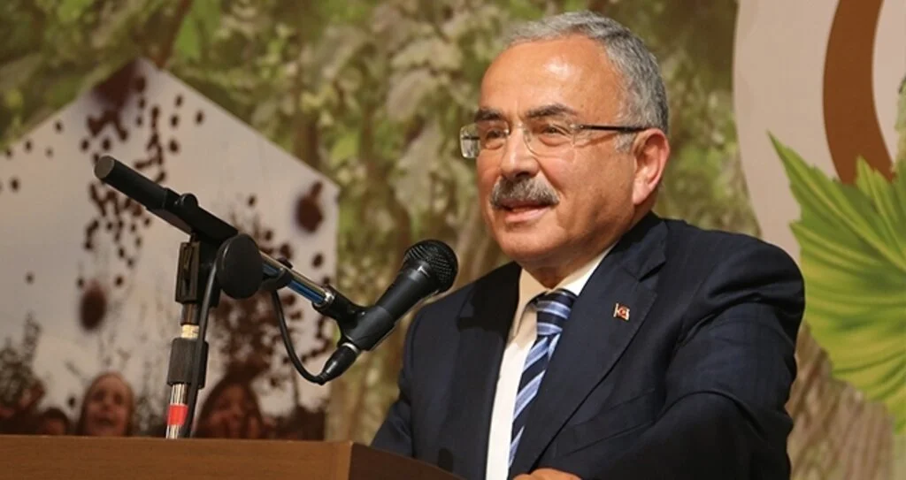 Çinli ve Japon yatırımcılar Ordu'yu gözüne kestirdi