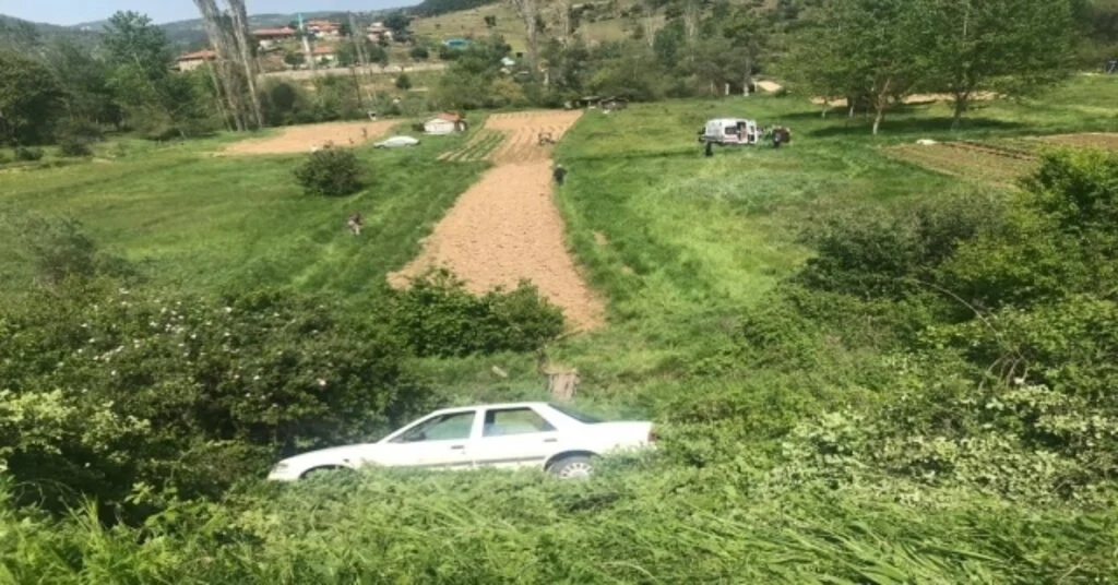 Emette Trafik Kazası: 6 Yaralı