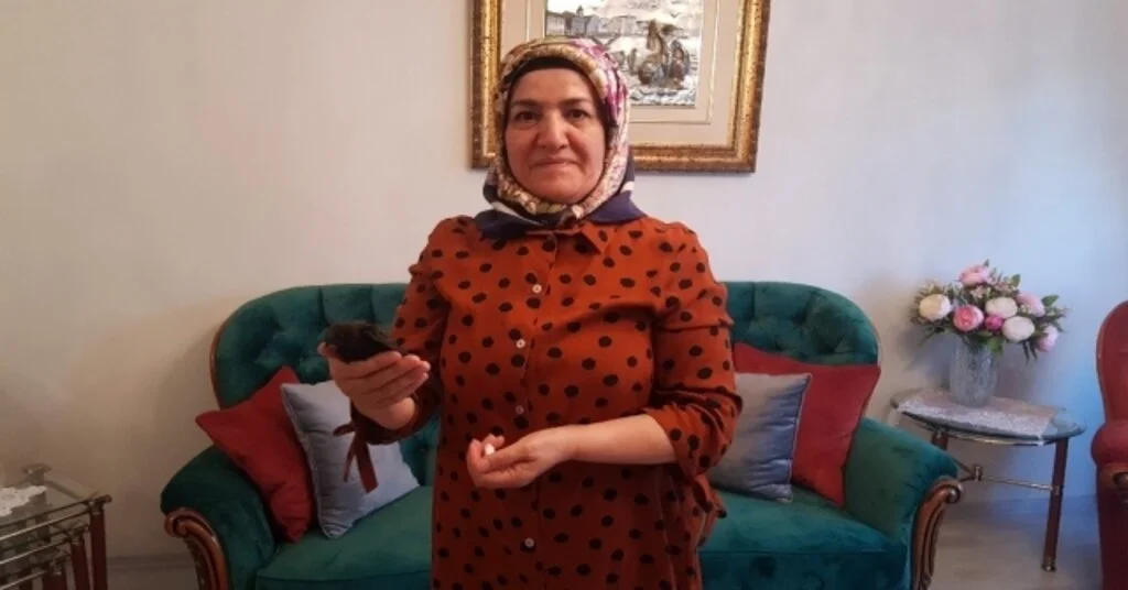 Kediler Yakaladı, Duyarlı Vatandaş Kurtardı