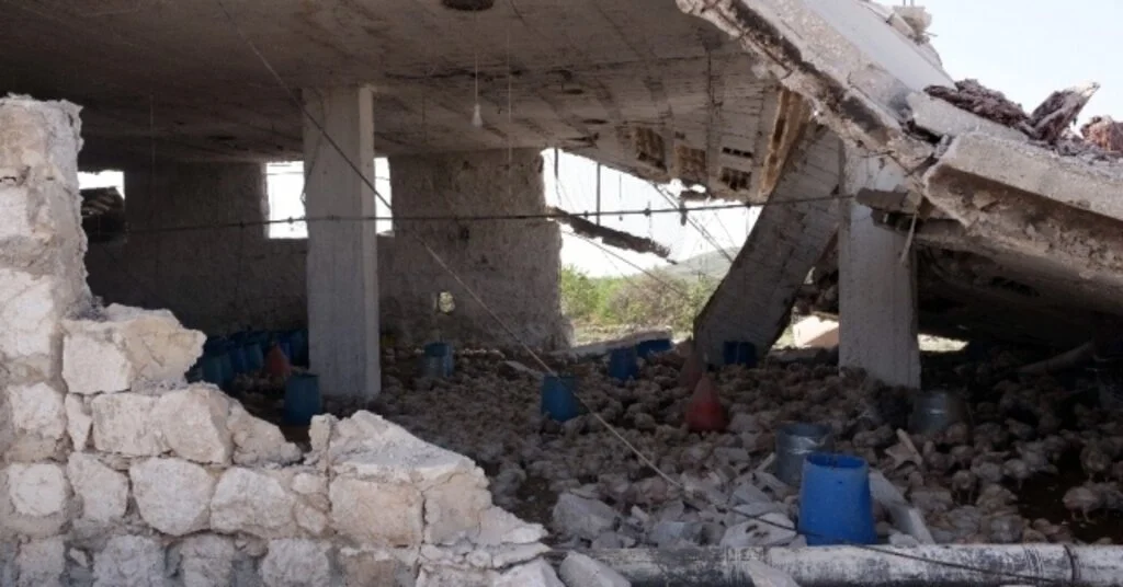 Rus Uçaklarının Bombardımanı İdlibte Bir Aileyi Yok Etti