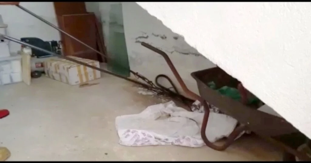 Seydikemerde İtfaiyeden Yılan Yakalama Operasyonu