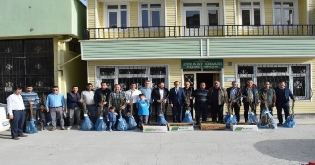 Sungurluda Tohum Ve Fidan Dağıtımı Yapıldı