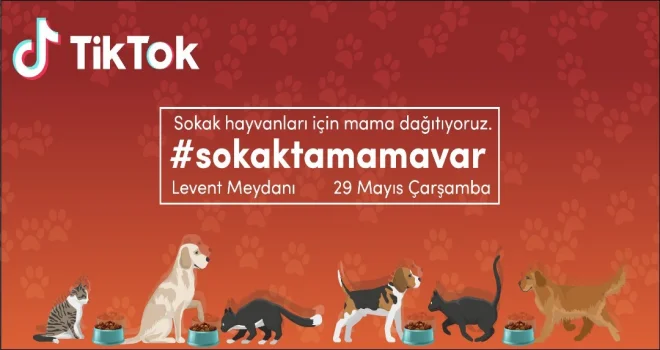 TikTok’tan sessiz dostlarımız için #sokaktamamavar kampanyası