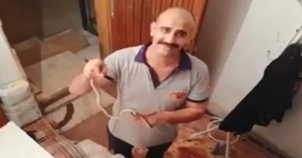Yılanlar Evi Bastı