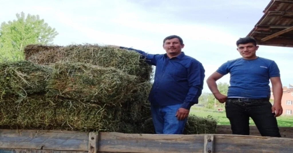 Yoncanın Balya Fiyatı 18 Liraya Yükseldi