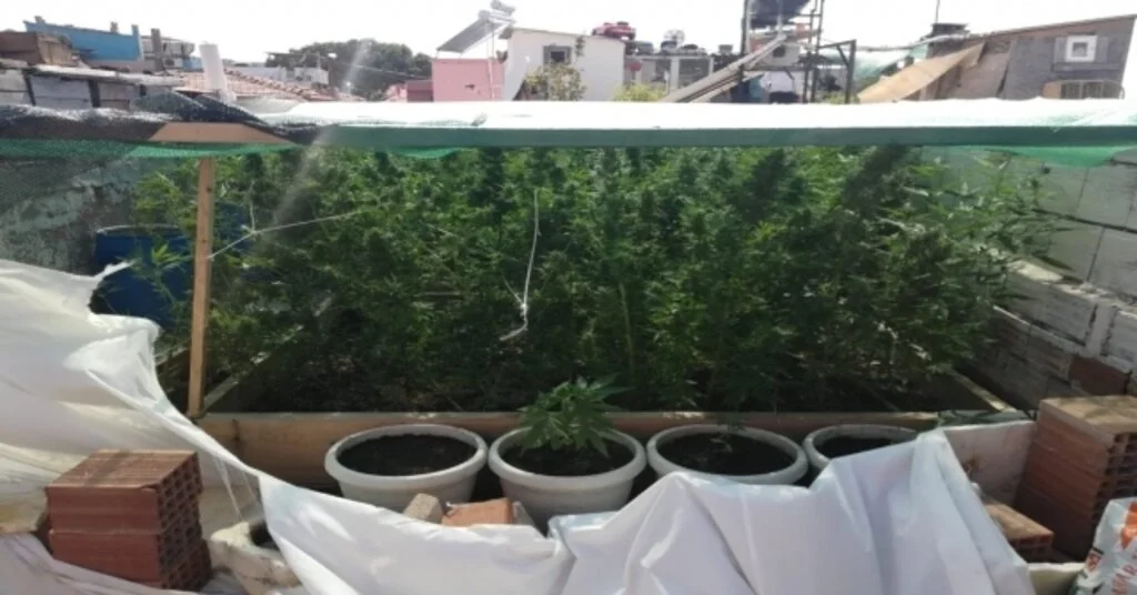 Balıkesirde Tonlarca Uyuşturucu Ele Geçirildi