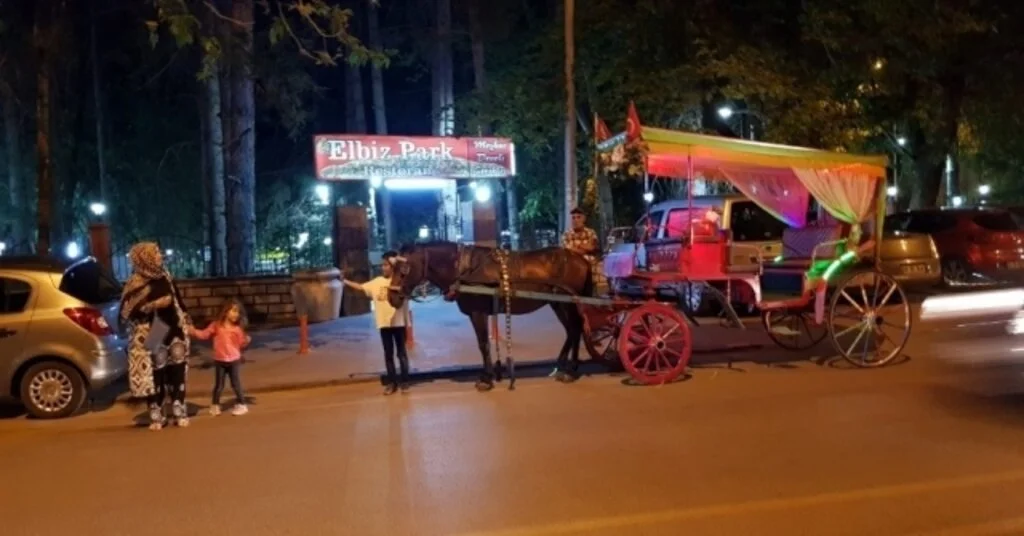 Develide Fayton Turu Başladı