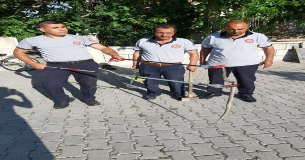 Develide İtfaiye Ekiplerinin Yılan Mesaisi
