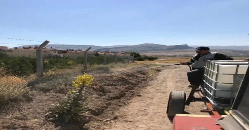 Develide Parklarda Çim Biçme Ve İlaçlama Çalışması