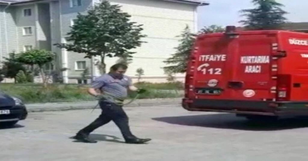 Düzcede Yılan Paniği