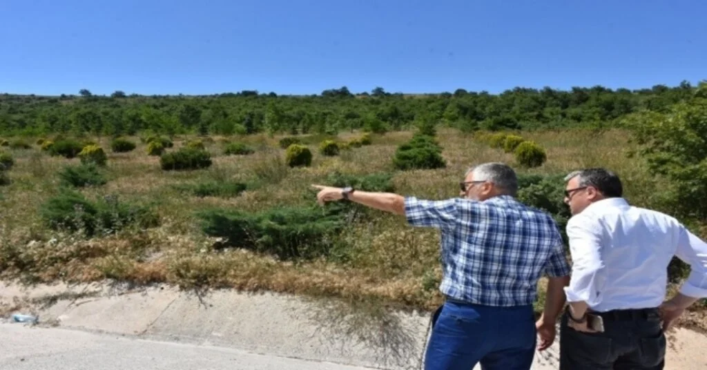 İnönü Bal Ormanı Çalışmaları Tüm Hızıyla Devam Ediyor