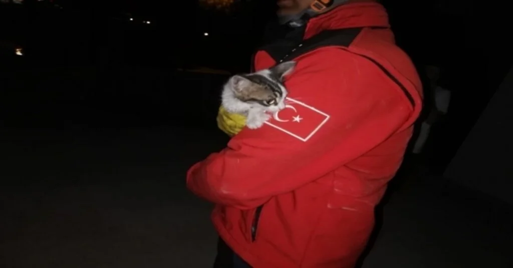 Jeneratöre Giren Kediyi İtfaiye Kurtardı