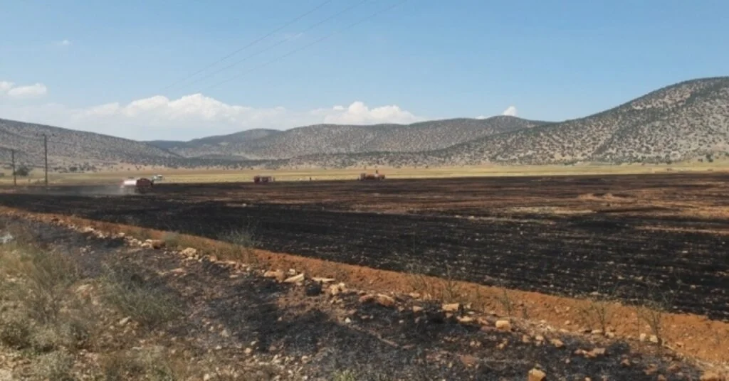 Korkutelinde Anız Ve Ekin Yangını