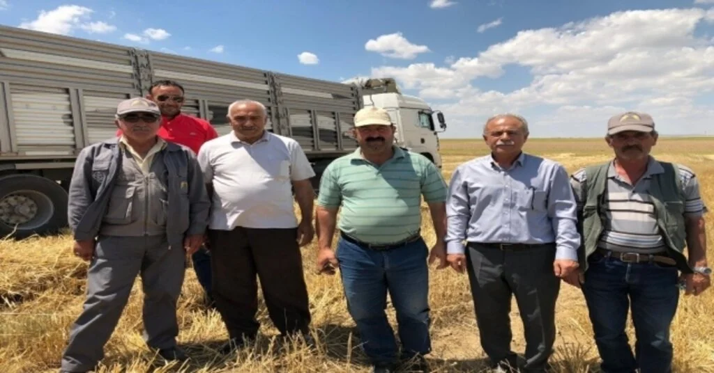 Kuluda Hasat Dönemi Başladı