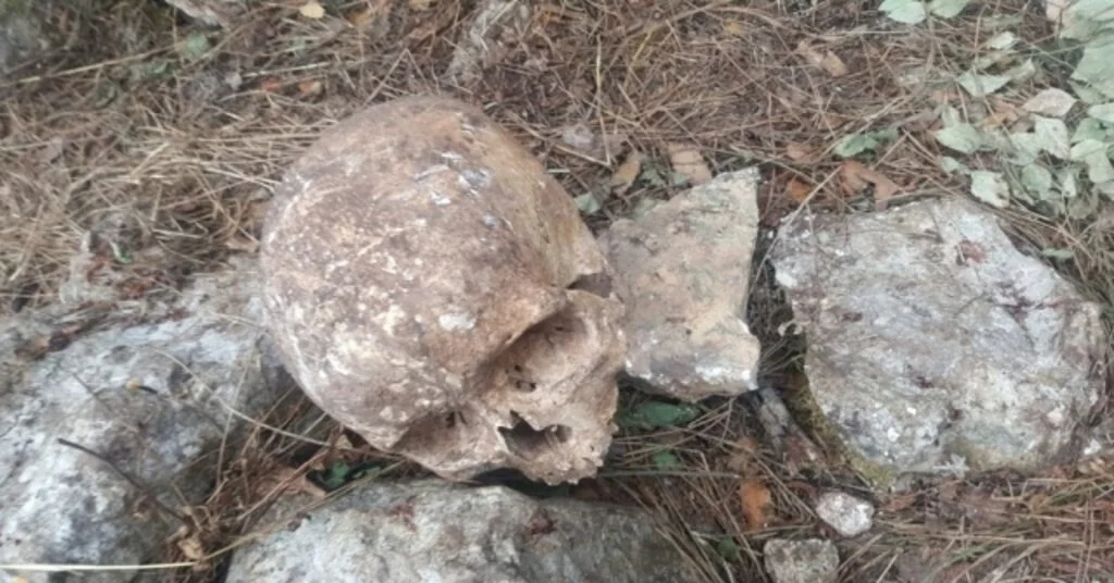 Mersinde 3 Kişiye Ait Kafatası Ve Kemik Bulundu