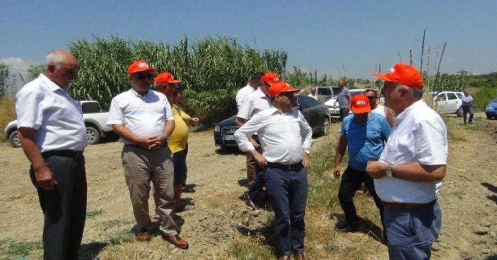 Narenciye Bahçelerine Savaşçı Böcekler Bırakıldı