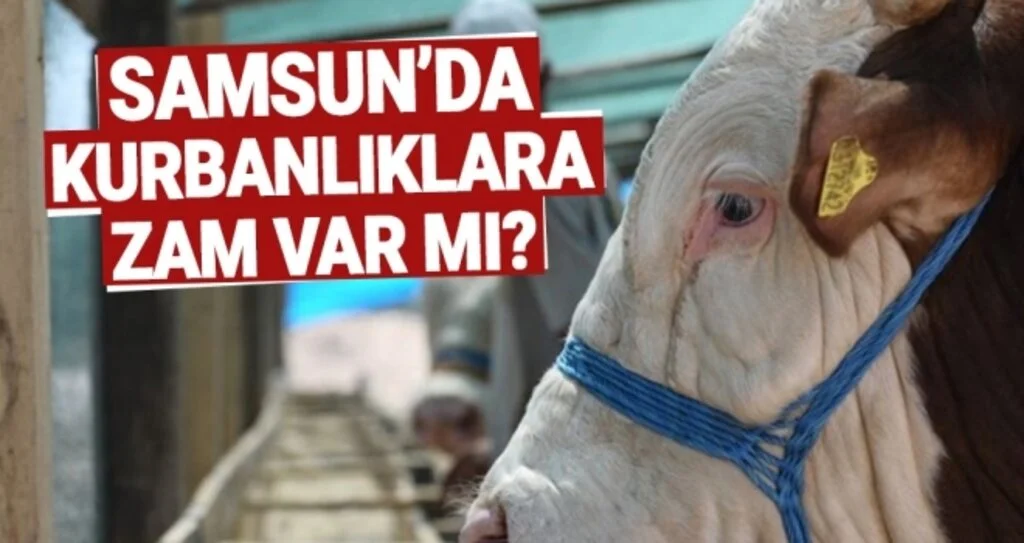 Samsun'da Kurbanlıklara Zam Var Mı?