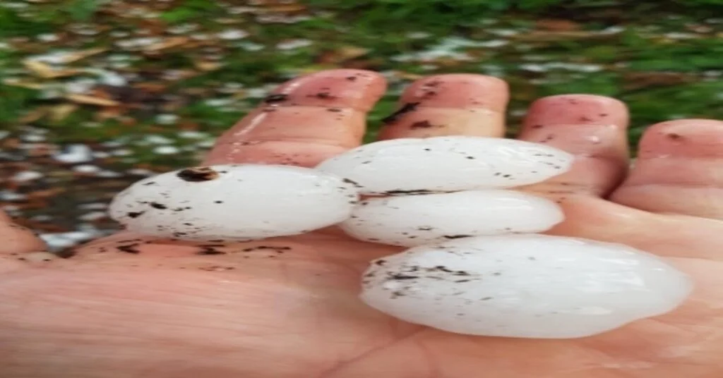 Sinopa Ceviz Büyüklüğünde Dolu Yağdı