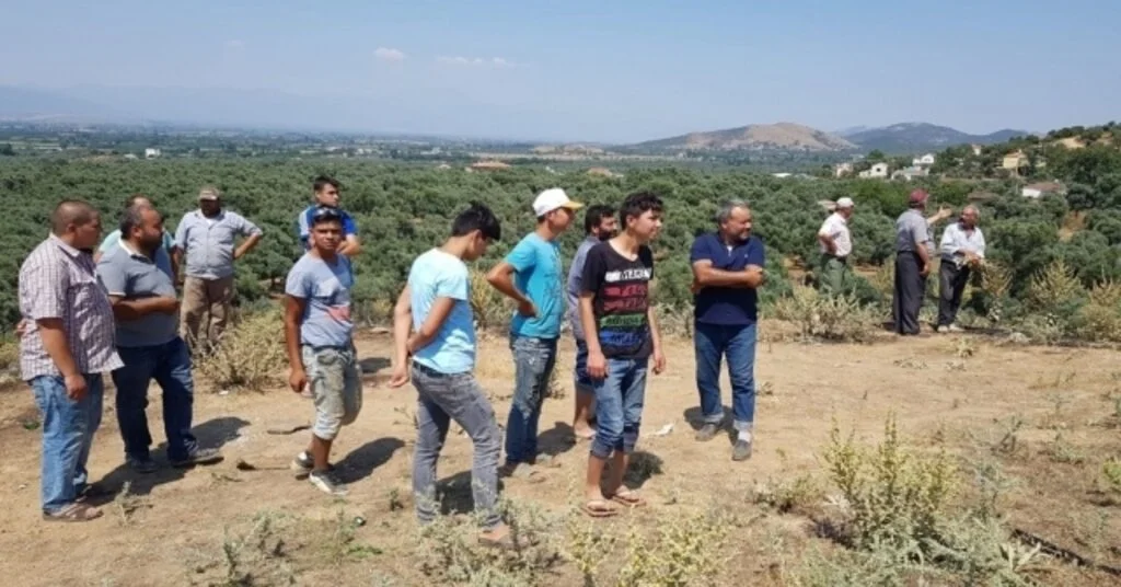 Tiredeki Makilik Yangını Söndürüldü