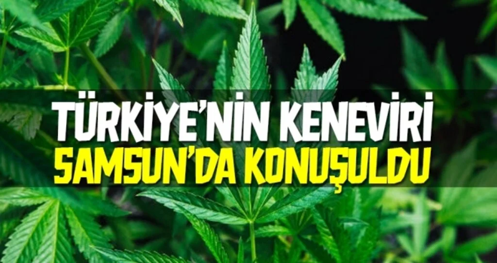 Türkiye'nin Keneviri Samsun'da Konuşuldu