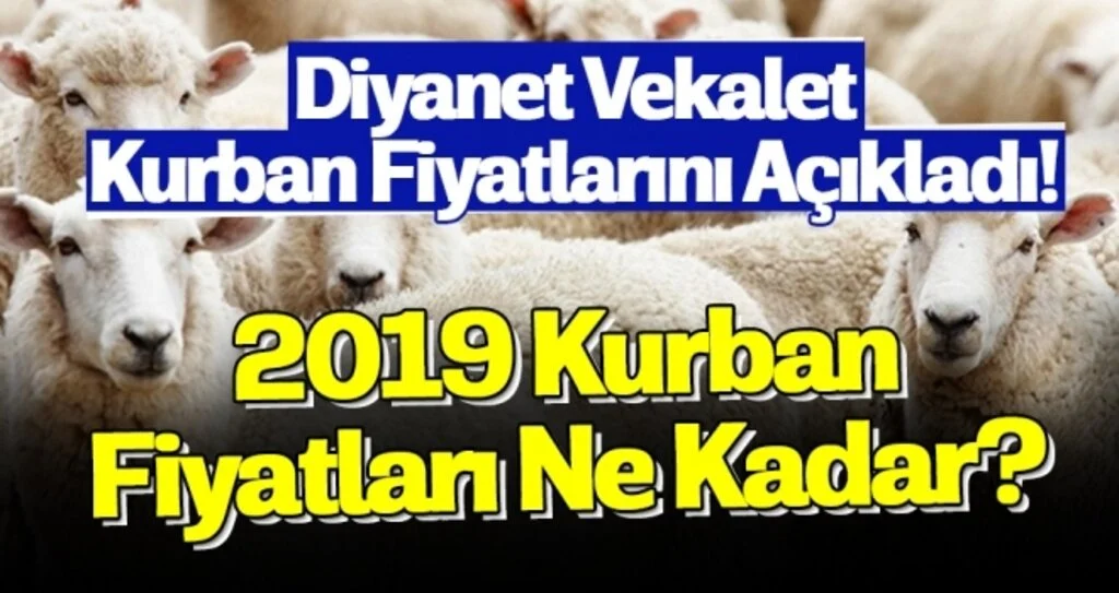 2019 Kurban Fiyatları Ne Kadar?