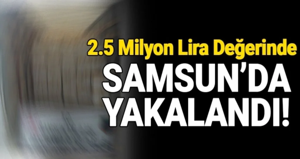 2.5 Milyon Lira Değerinde Samsun'da Yakalandı