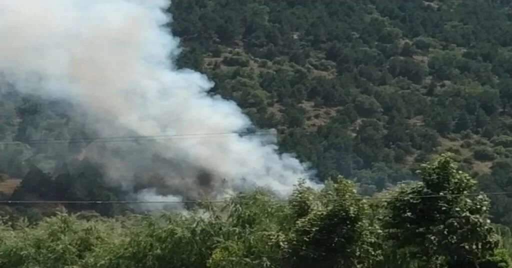 Afyonkarahisarın Çay İlçesindeki Orman Yangını Kontrol Altına Alındı