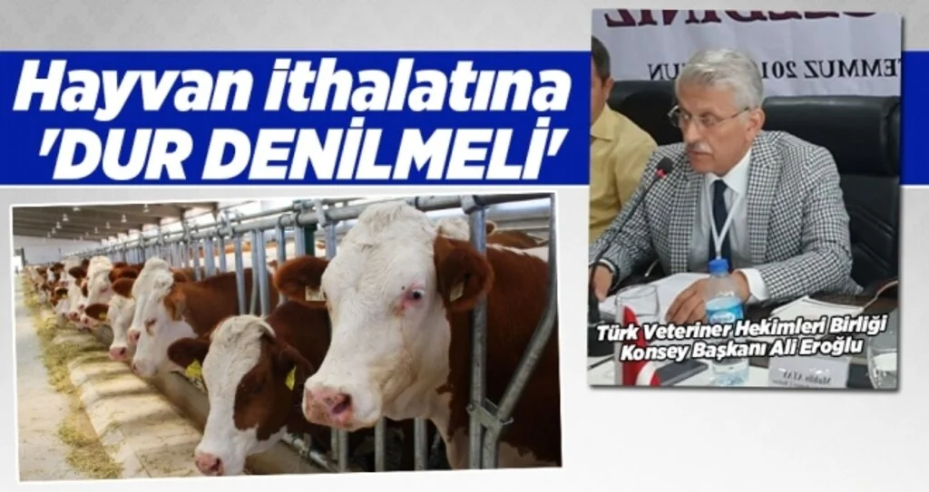 Ali Eroğlu: Hayvan ithalatına 'DUR DENİLMELİ'