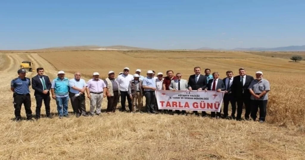 Altıntaşta Reyis Ve Mesut İsimli Yeni Buğday Çeşitleri Tanıtıldı