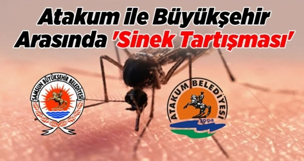Atakum ile Büyükşehir Arasında 'Sinek Tartışması'
