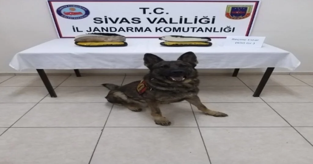 Ayakkabı Tabanında Uyuşturucu Ele Geçirildi