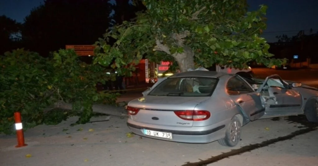 Balıkesirde Otomobil Ağaca Çarptı: 1 Ölü