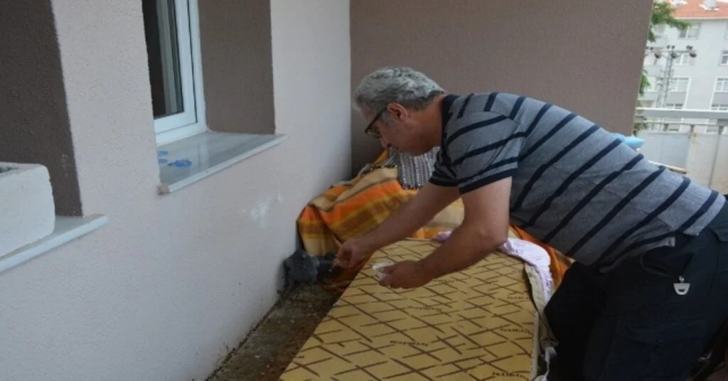 Balkonuna Yuva Yapan Güvercinleri Besliyor