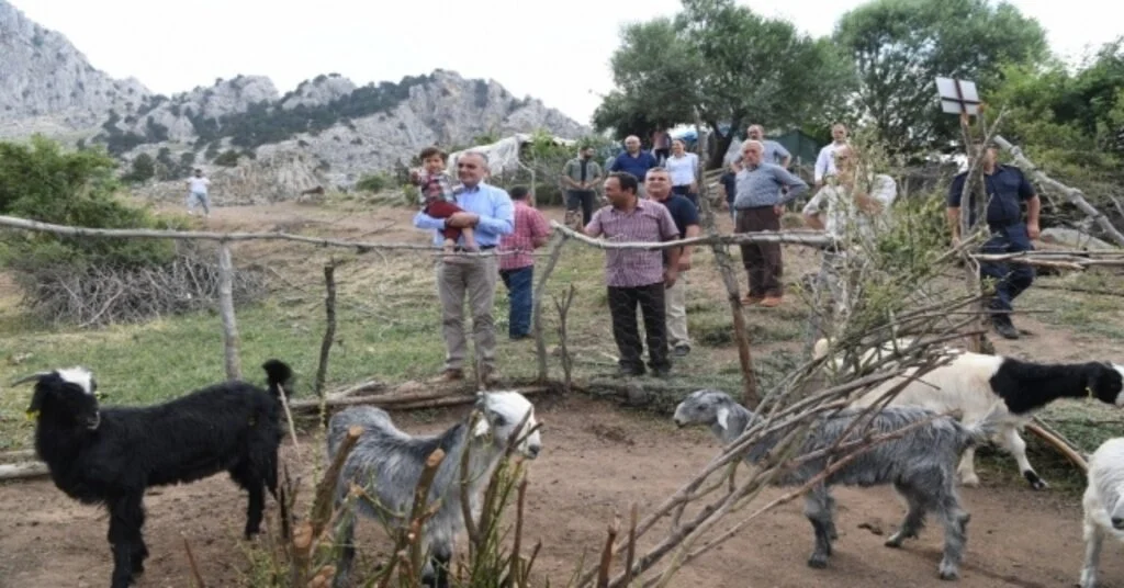 Başkan Esenden Hayvancılığa Destek  Sözü