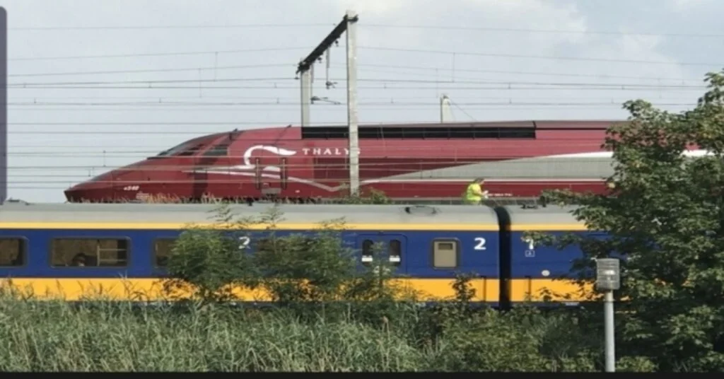Belçikada Termometreler 40 Dereceyi Aştı