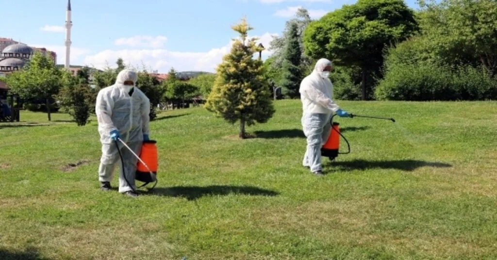 Belediye Kene Ve Haşerelere Karşı İlaçlama Çalışması Yaptı