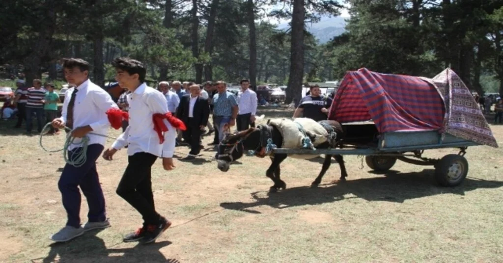 Beyşehirde 16. Geleneksel Anamas-Dedegöl Kültür Şenlikleri Yapıldı