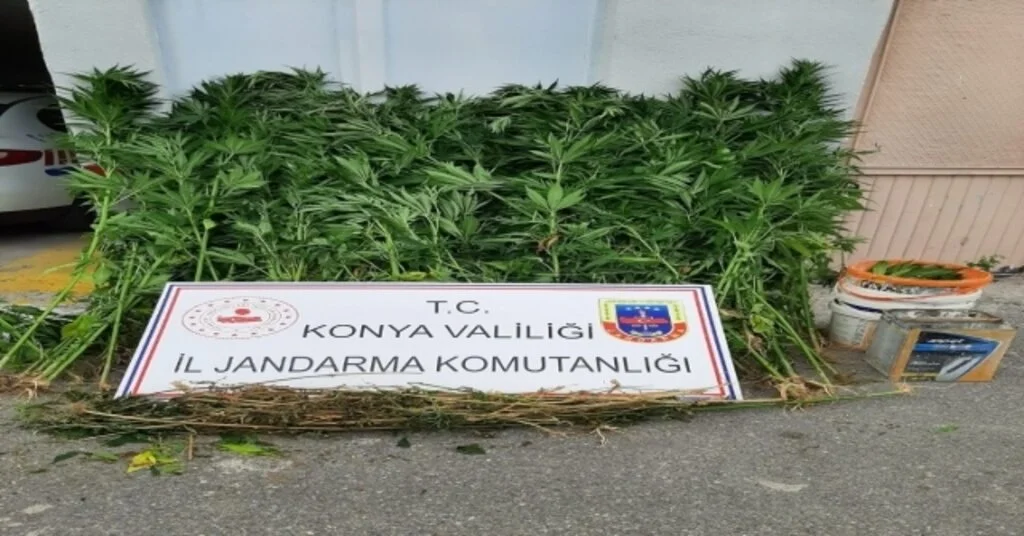 Beyşehirde Jandarmadan Uyuşturucu Operasyonu