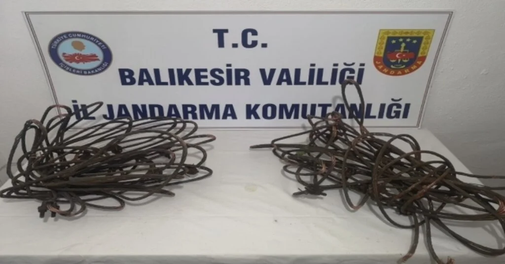 Bu Kadarına Da Pes