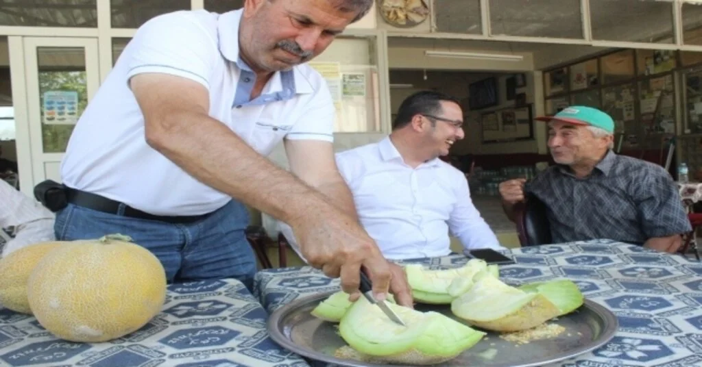 Bursada Kavun Hasadı Başladı, Fiyatlar Yüzleri Güldürdü